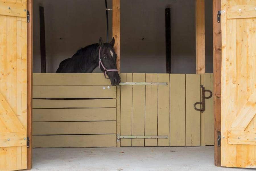 Koppany Lovasudvar Bakonykoppány Buitenkant foto
